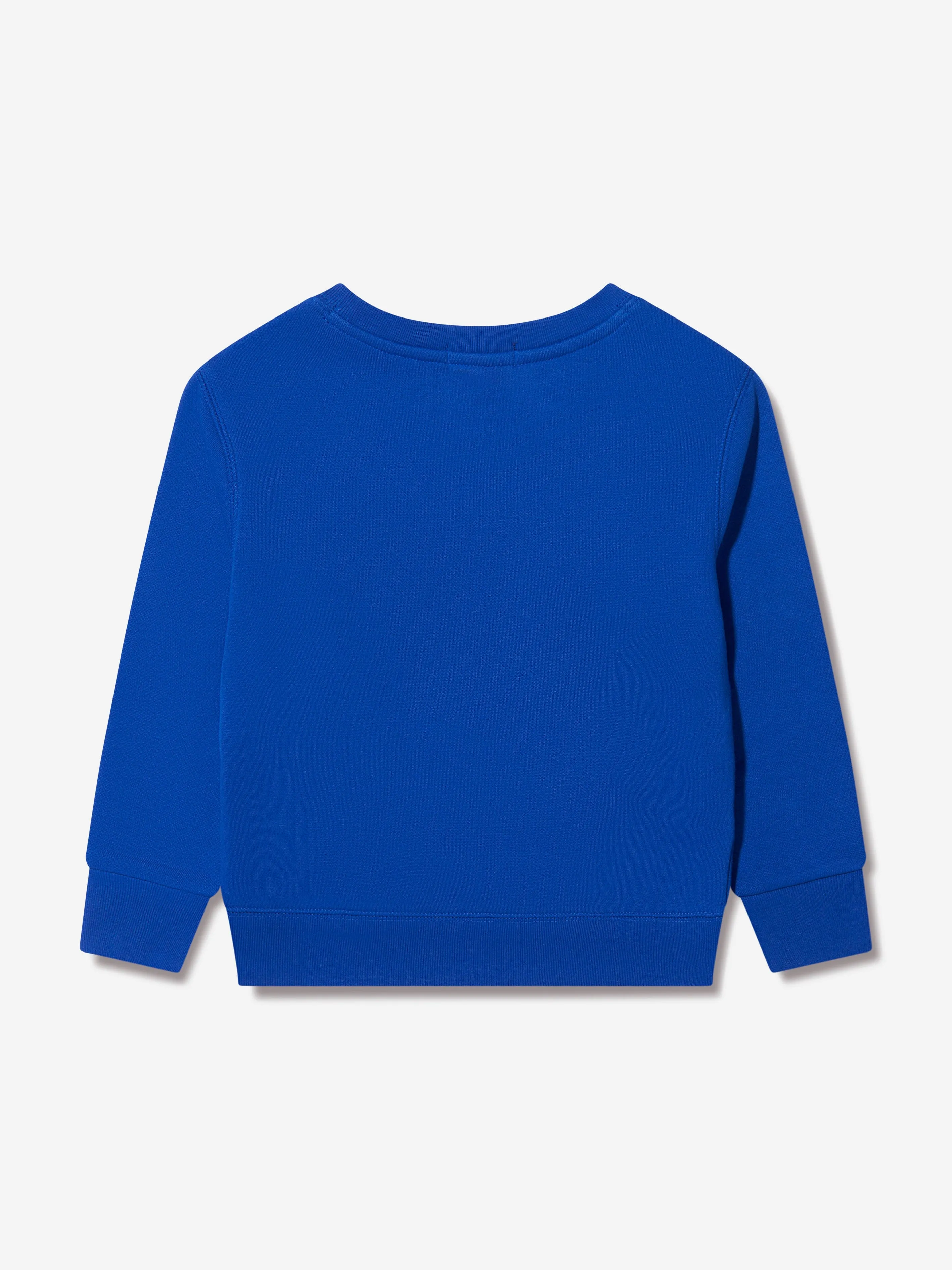 Ralph Lauren Boys Polo Logo Sweatshirt in Blue
